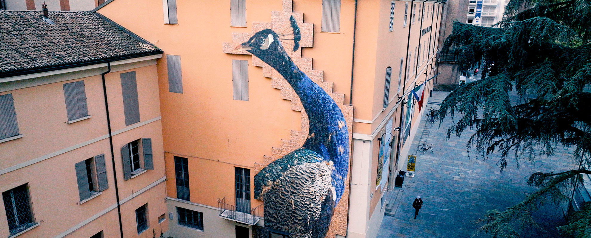 confronto territorio news ragno