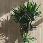 ragno realstone argent 019