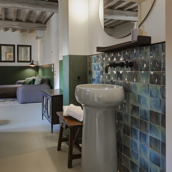 Ragno Borgo Dolciano 007