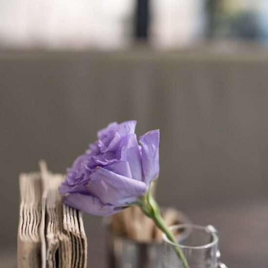 Ragno Atelier Prato 018