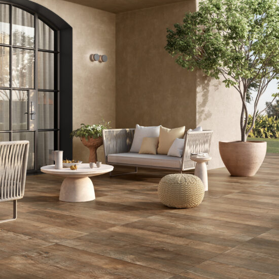 Ragno Nodis Xt20 001