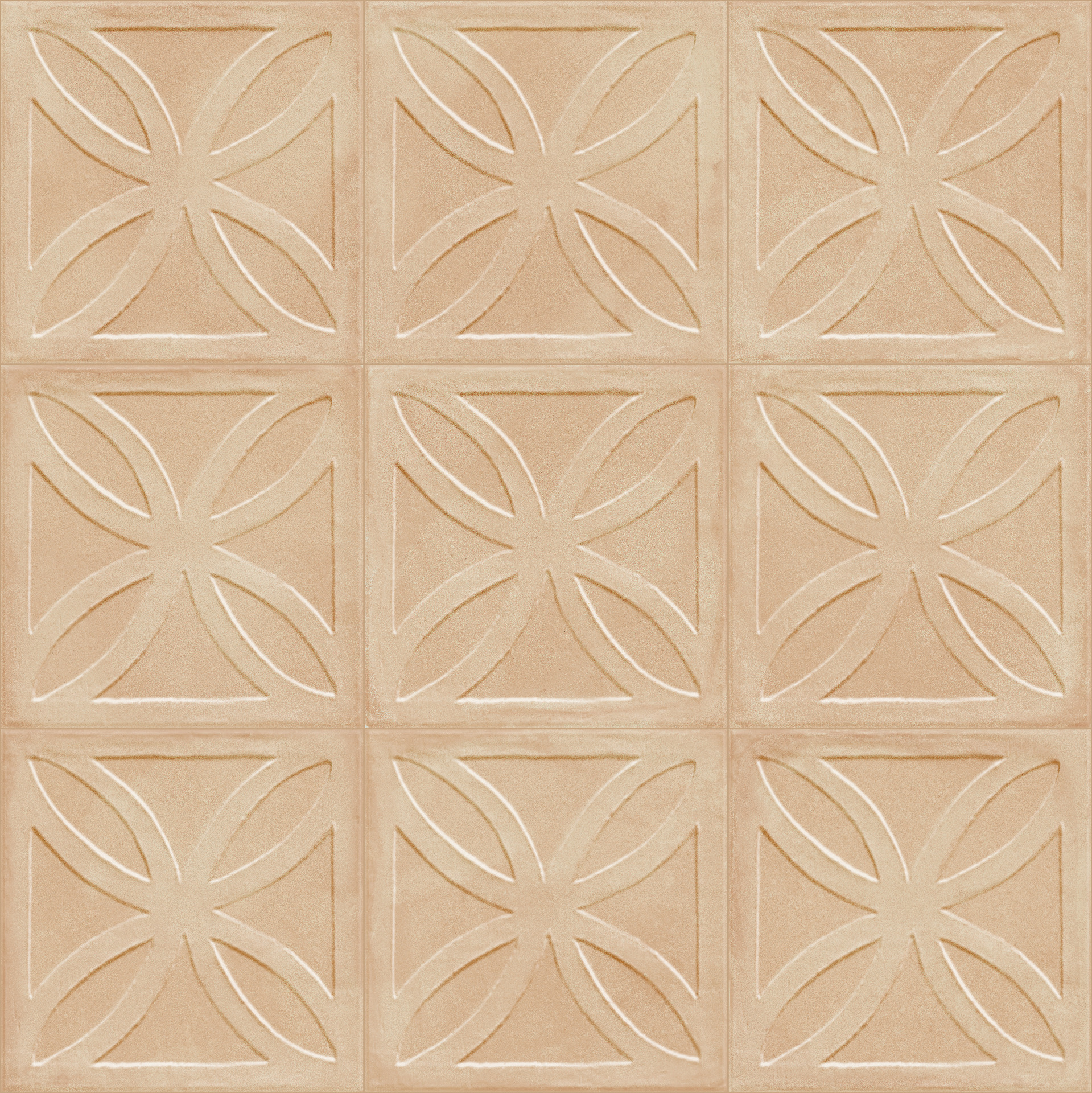 ragno amuri rc7g.jpg