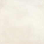 ragno amuri rc8v.jpg