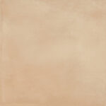 ragno amuri rc8x.jpg