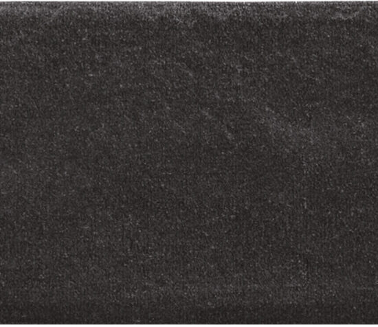 ragno calce r02v.jpg