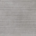 ragno clayton raeg.jpg