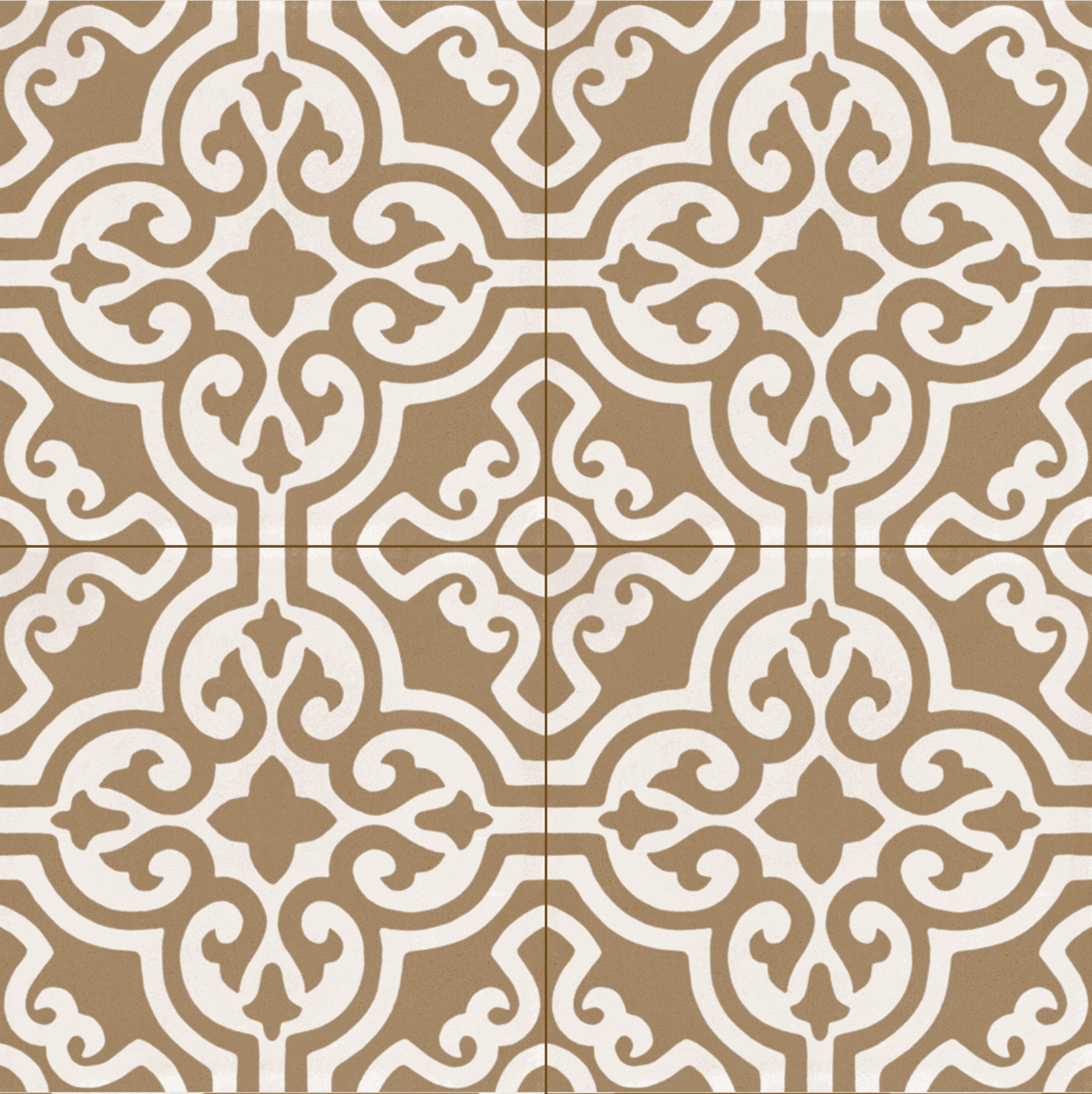 ragno contrasti r7hg.jpg