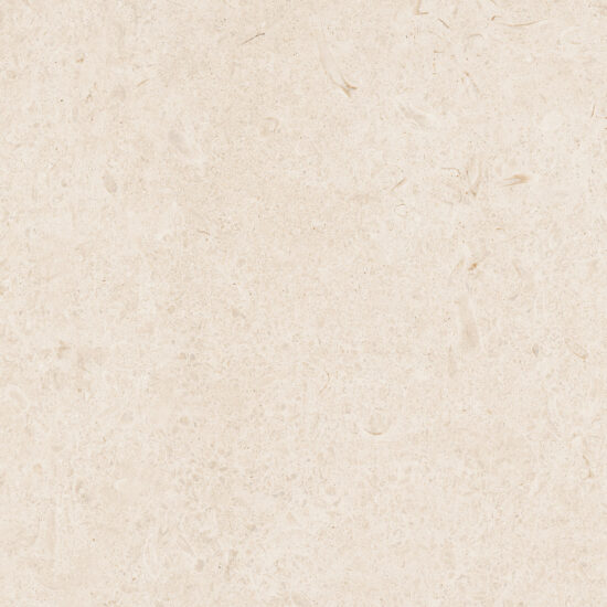 ragno eterna r8jk.jpg