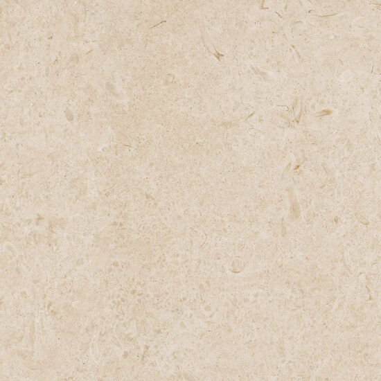 ragno eterna r8jl.jpg