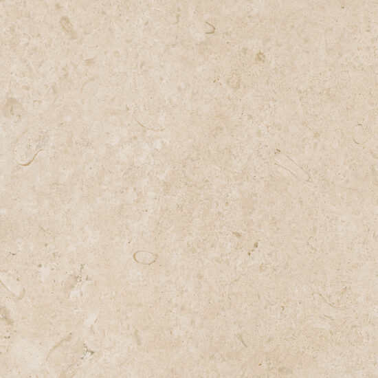 ragno eterna r8jt.jpg