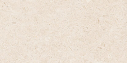 ragno eterna r8jz.jpg