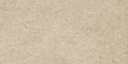 ragno eterna r8k1.jpg