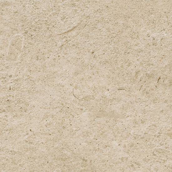 ragno eterna r8k1.jpg