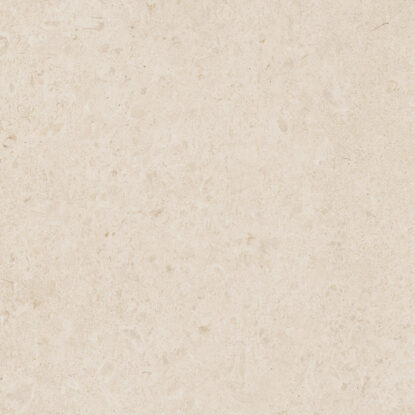 ragno eterna r8ka.jpg