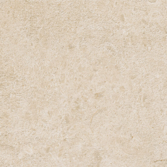 ragno eterna r8ks.jpg