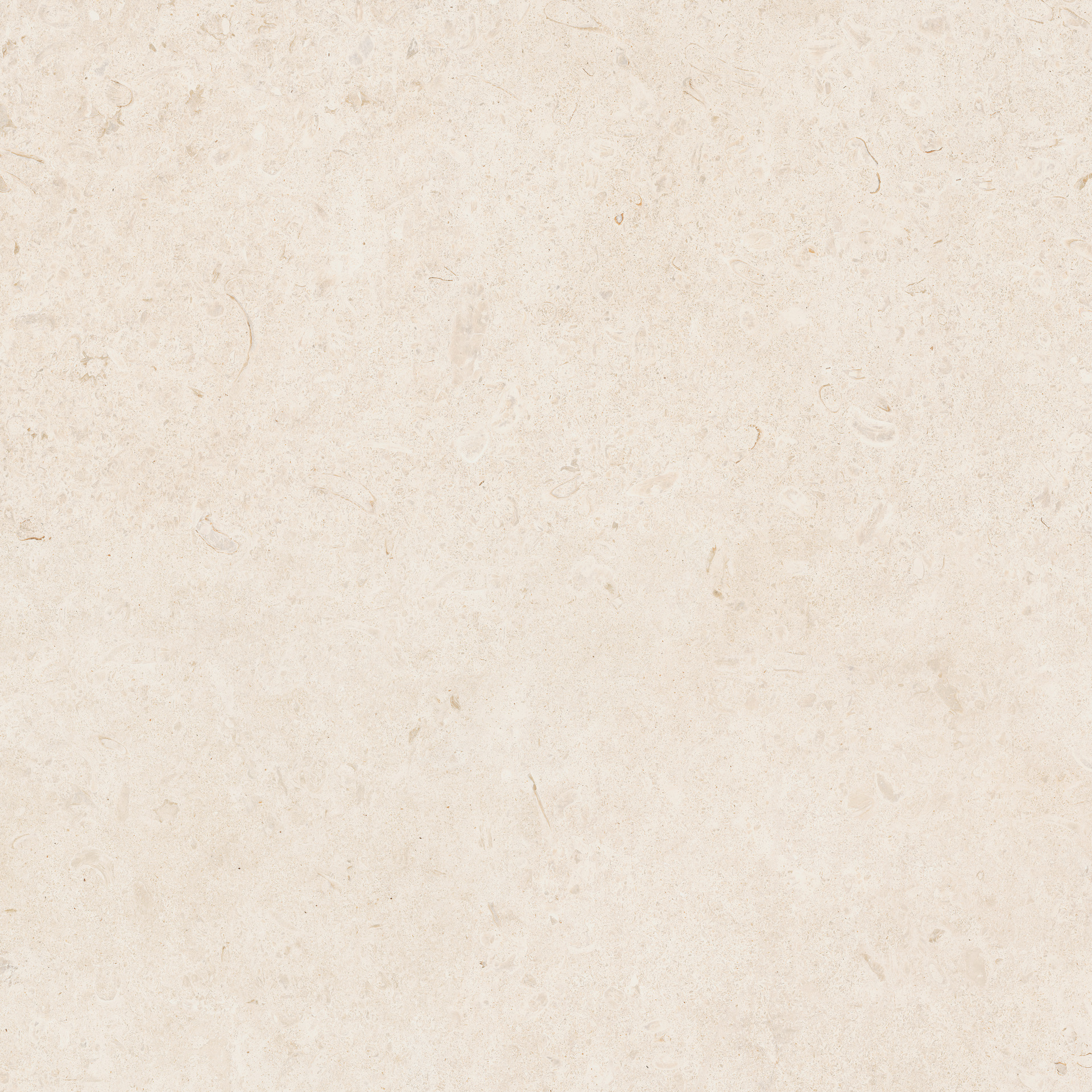 ragno eterna ra7g.jpg