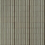 ragno glace raen.jpg