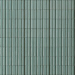 ragno glace raep.jpg