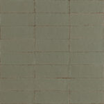 ragno glace raex.jpg