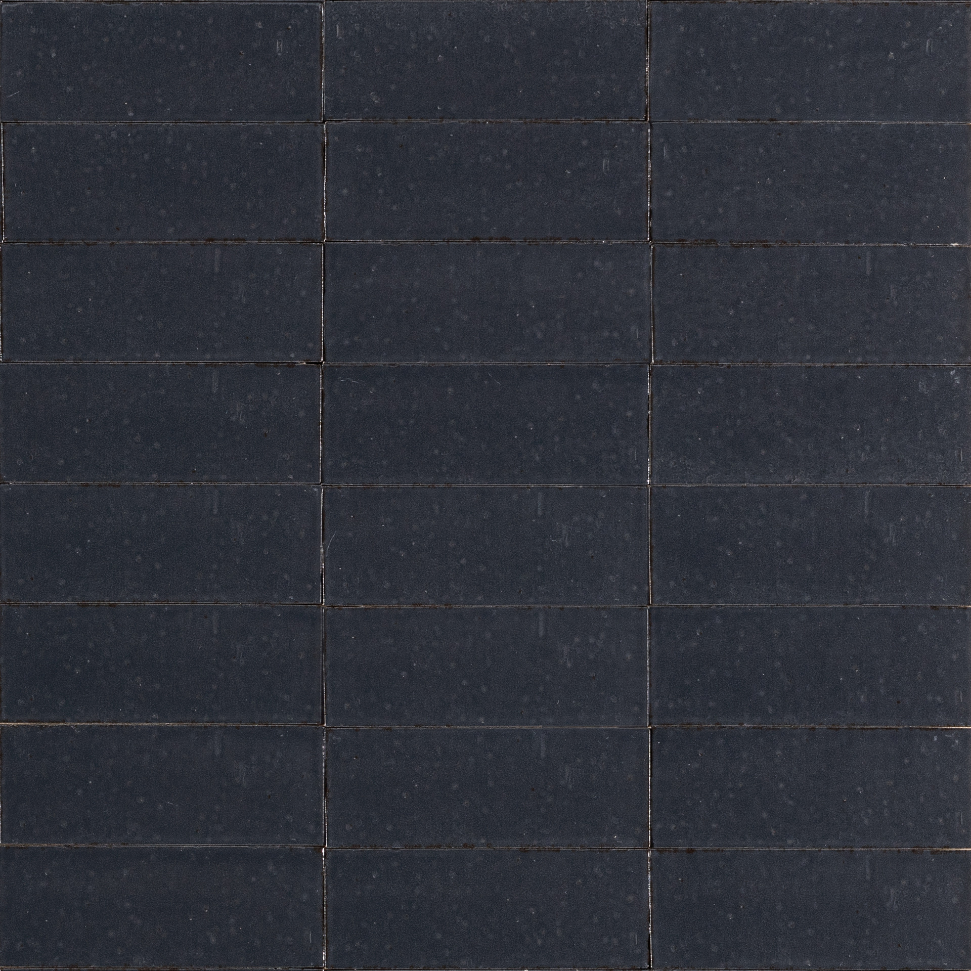 ragno glace raf0.jpg