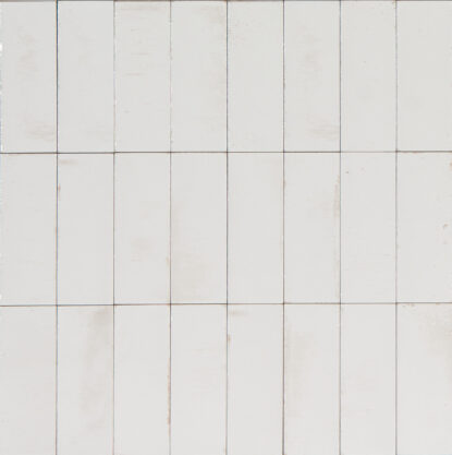 ragno gleeze r8gy.jpg