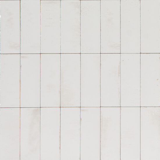 ragno gleeze r8gy.jpg