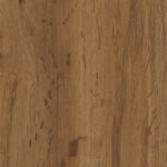 ragno grove ra4p.jpg