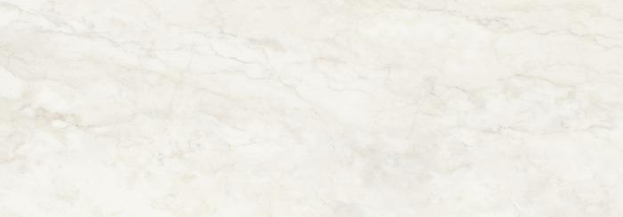 ragno imperiale r74f.jpg