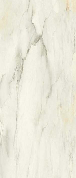 ragno incanto r8nf.jpg