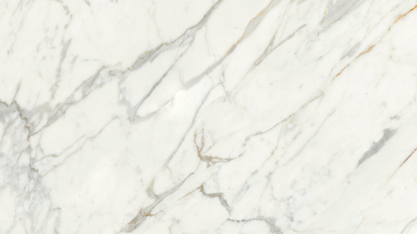 ragno incanto r8pj.jpg