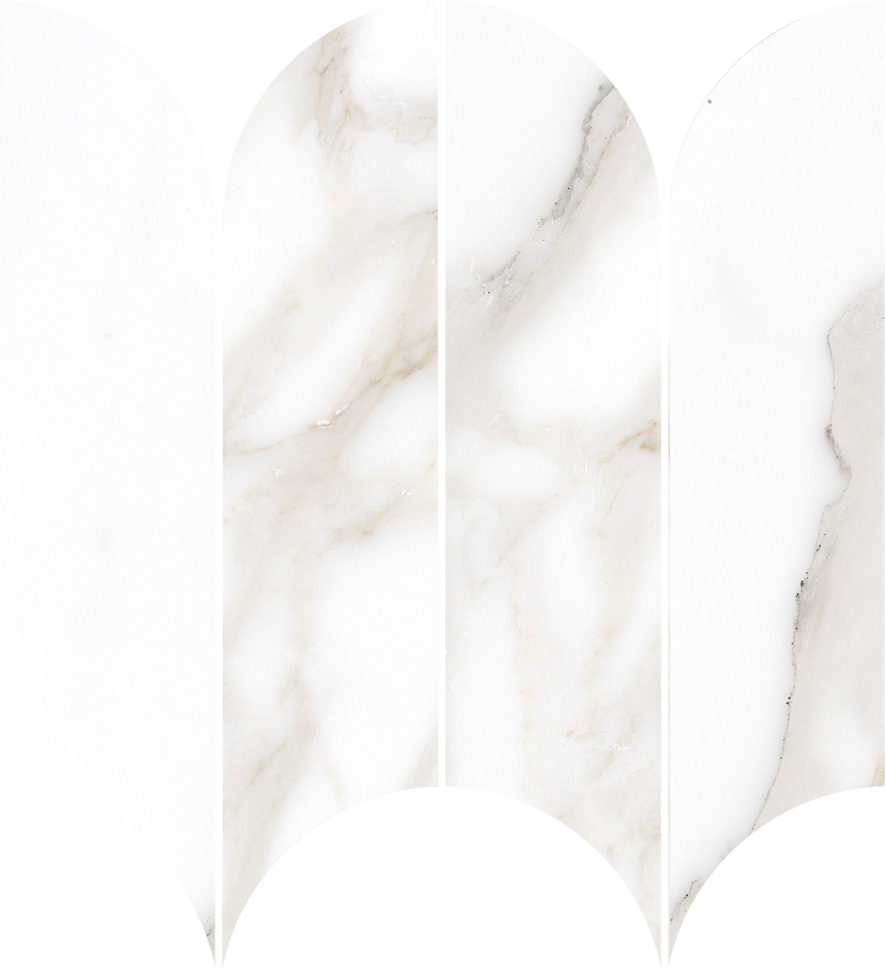 ragno incanto r9ce.jpg