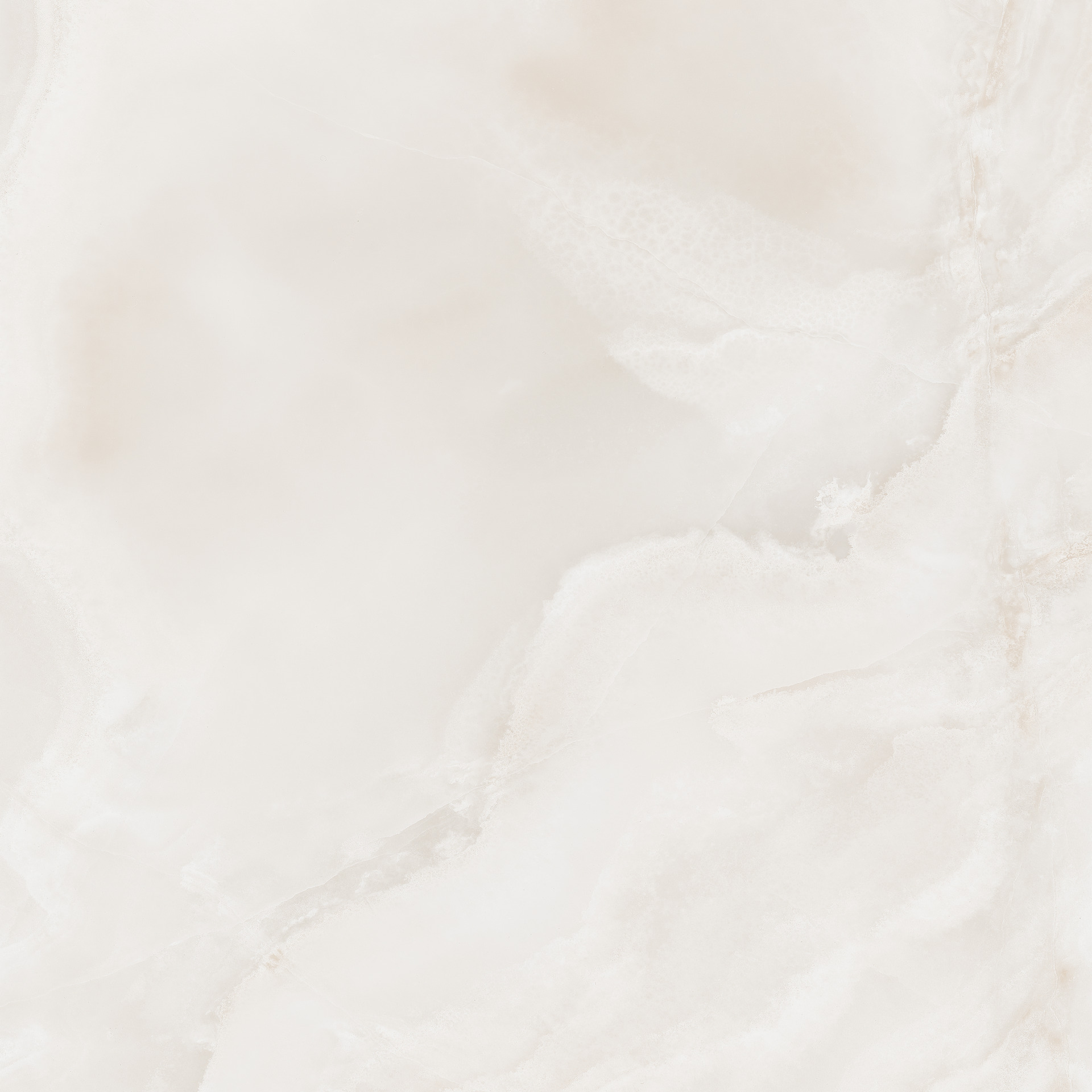 ragno incanto rdfh.jpg