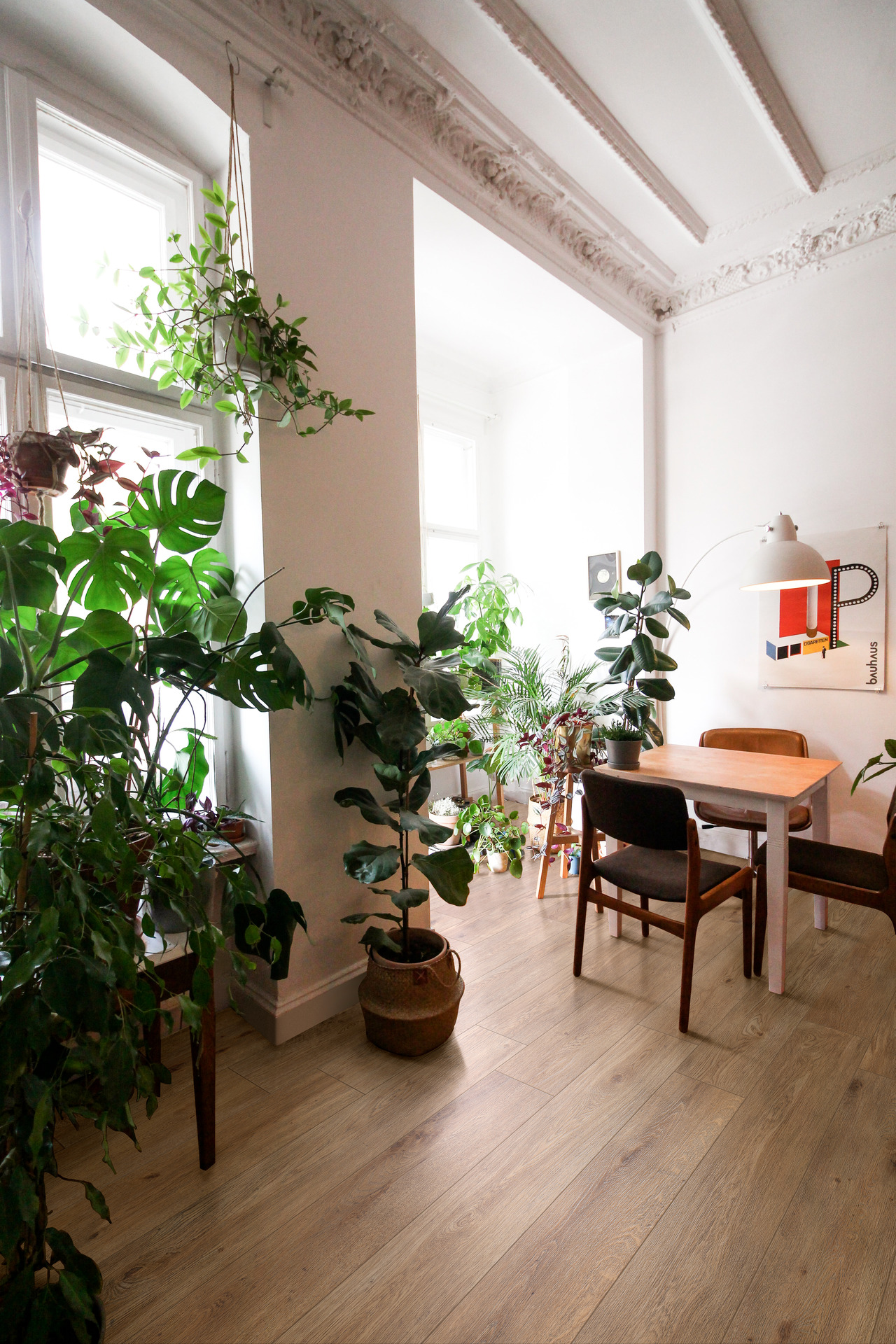 ragno inedito 001.jpg