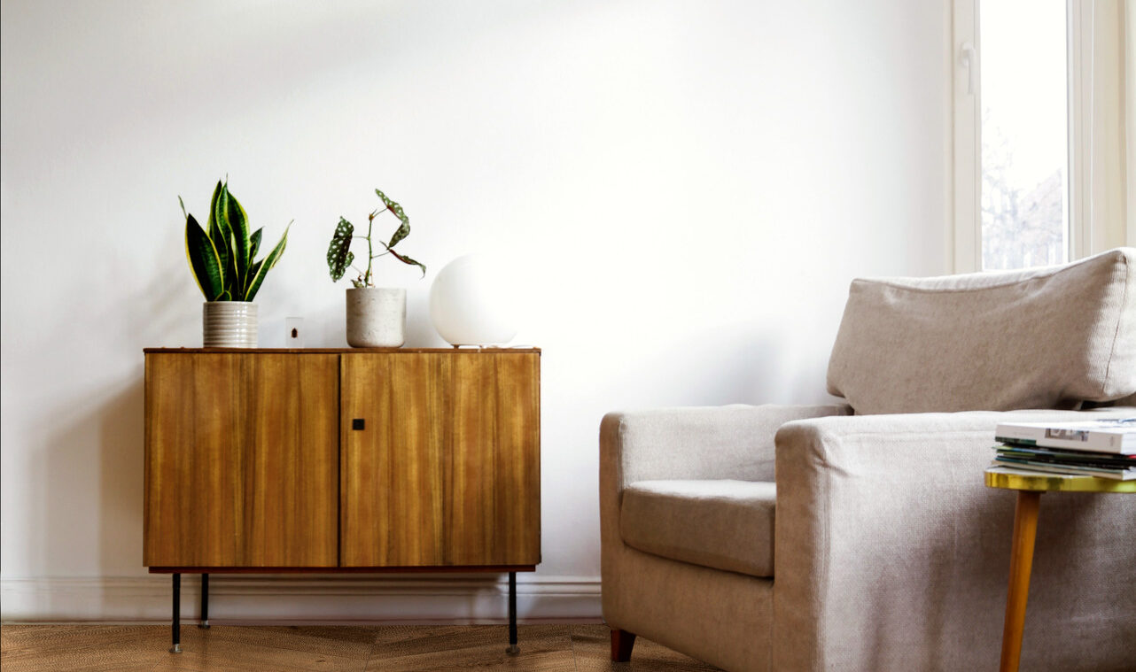 ragno inedito 005.jpg