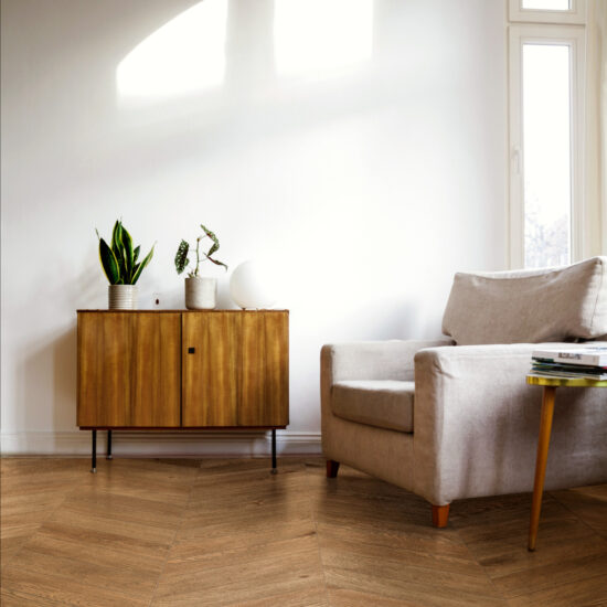 ragno inedito 005.jpg