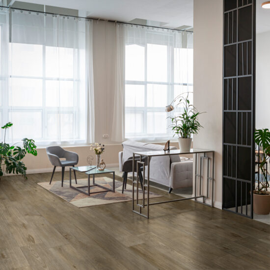 ragno inedito 006.jpg