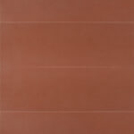 ragno lucida rcra.jpg