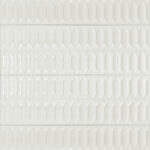 ragno lucida rcrf.jpg