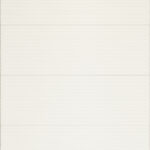 ragno lucida rcrk.jpg