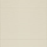 ragno lucida rcrl.jpg