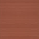 ragno lucida rcrm.jpg