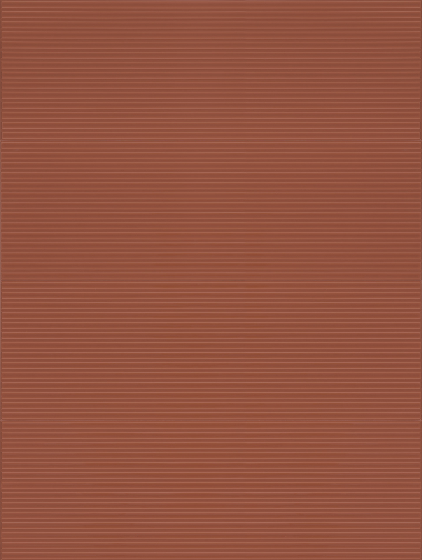 ragno lucida rcrm.jpg