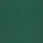 ragno lucida rcrn.jpg