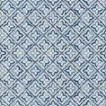 ragno lucida rcs1.jpg