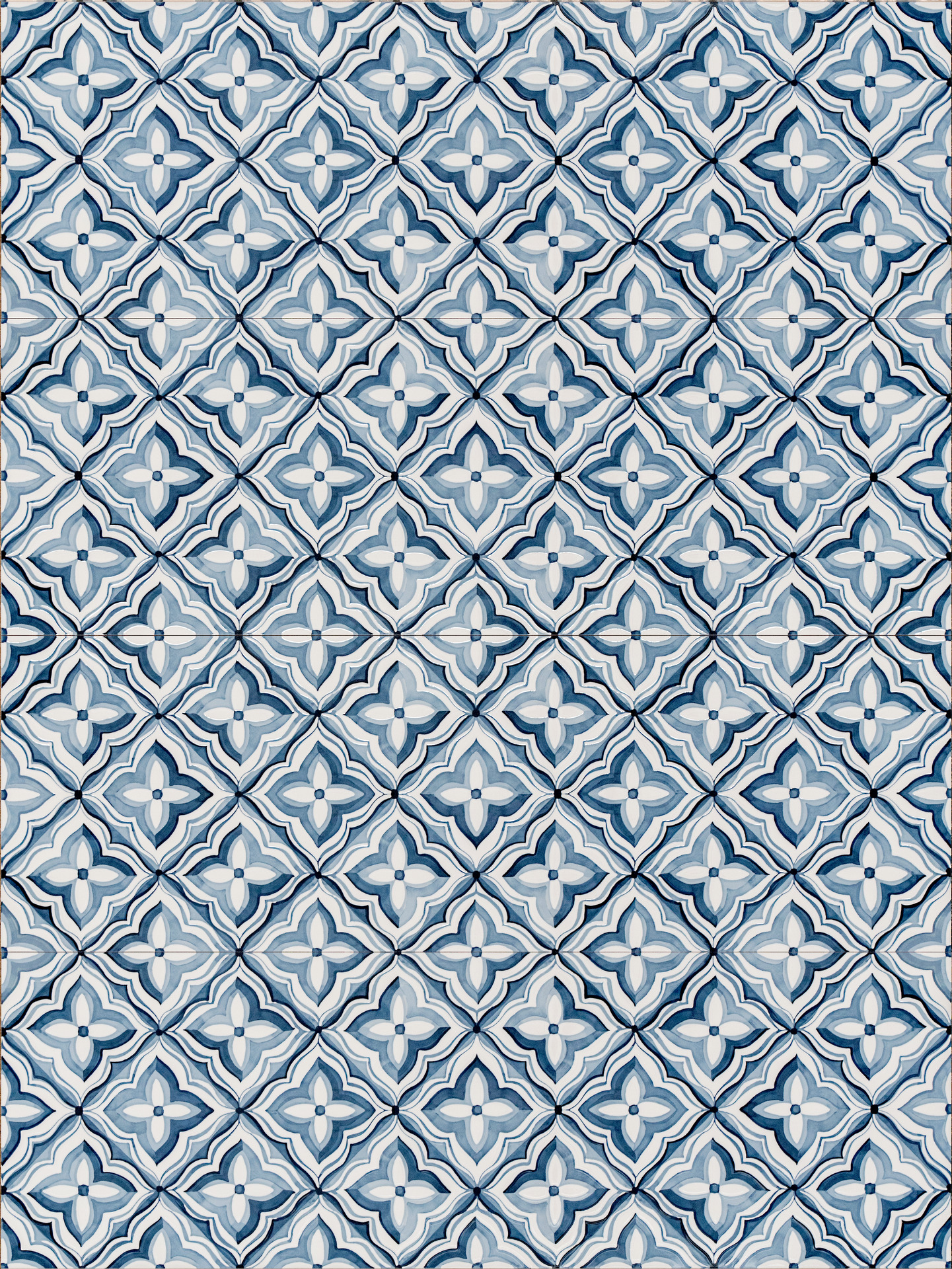 ragno lucida rcs1.jpg