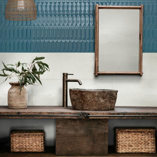 ragno lucida 003.jpg