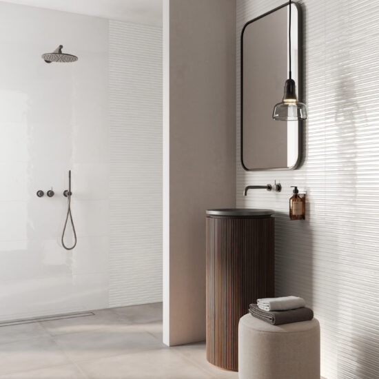 ragno lucida 006.jpg