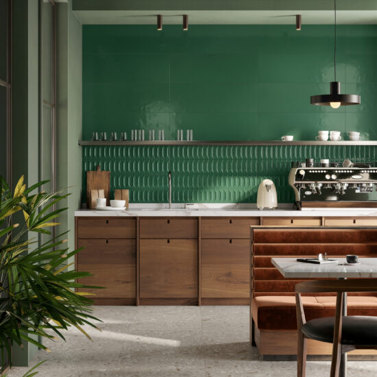 ragno lucida 010.jpg