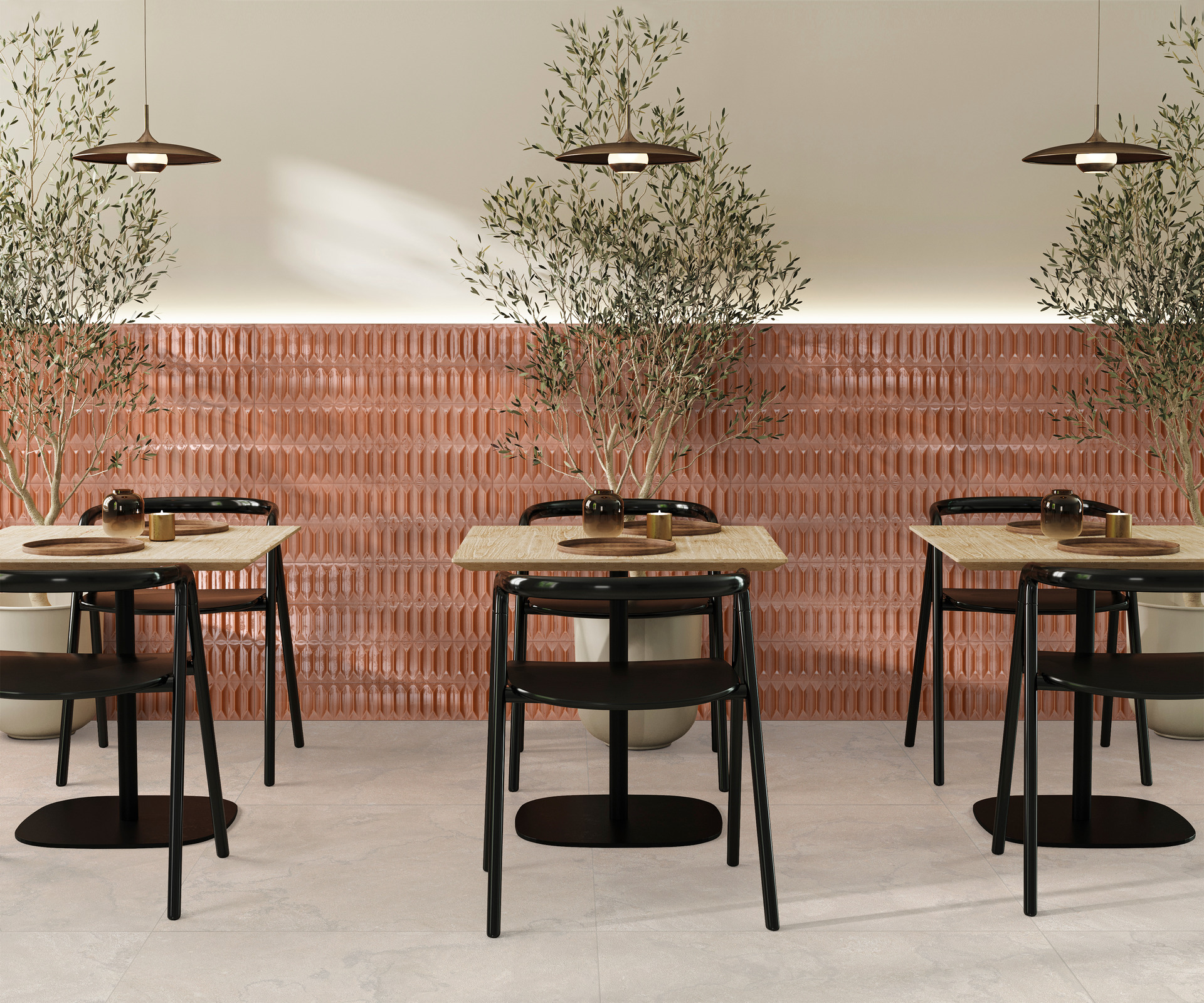 ragno lucida 012.jpg