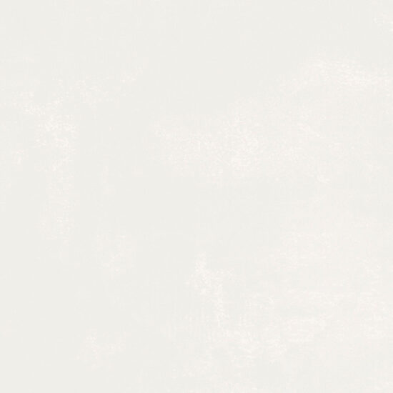 ragno now r9mr.jpg